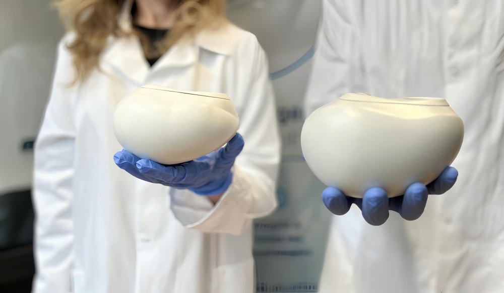 Image d'une prothèse cardiaque.