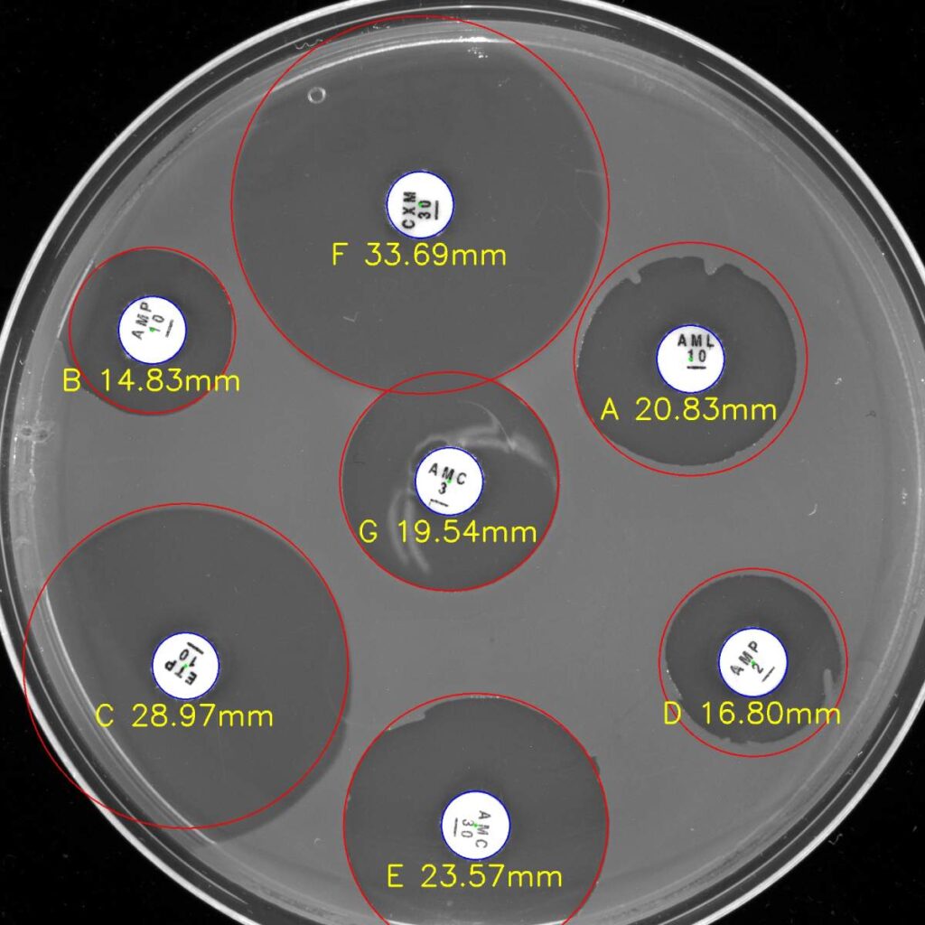 Image montrant le projet Molsid, équipement d'analyse en laboratoire.